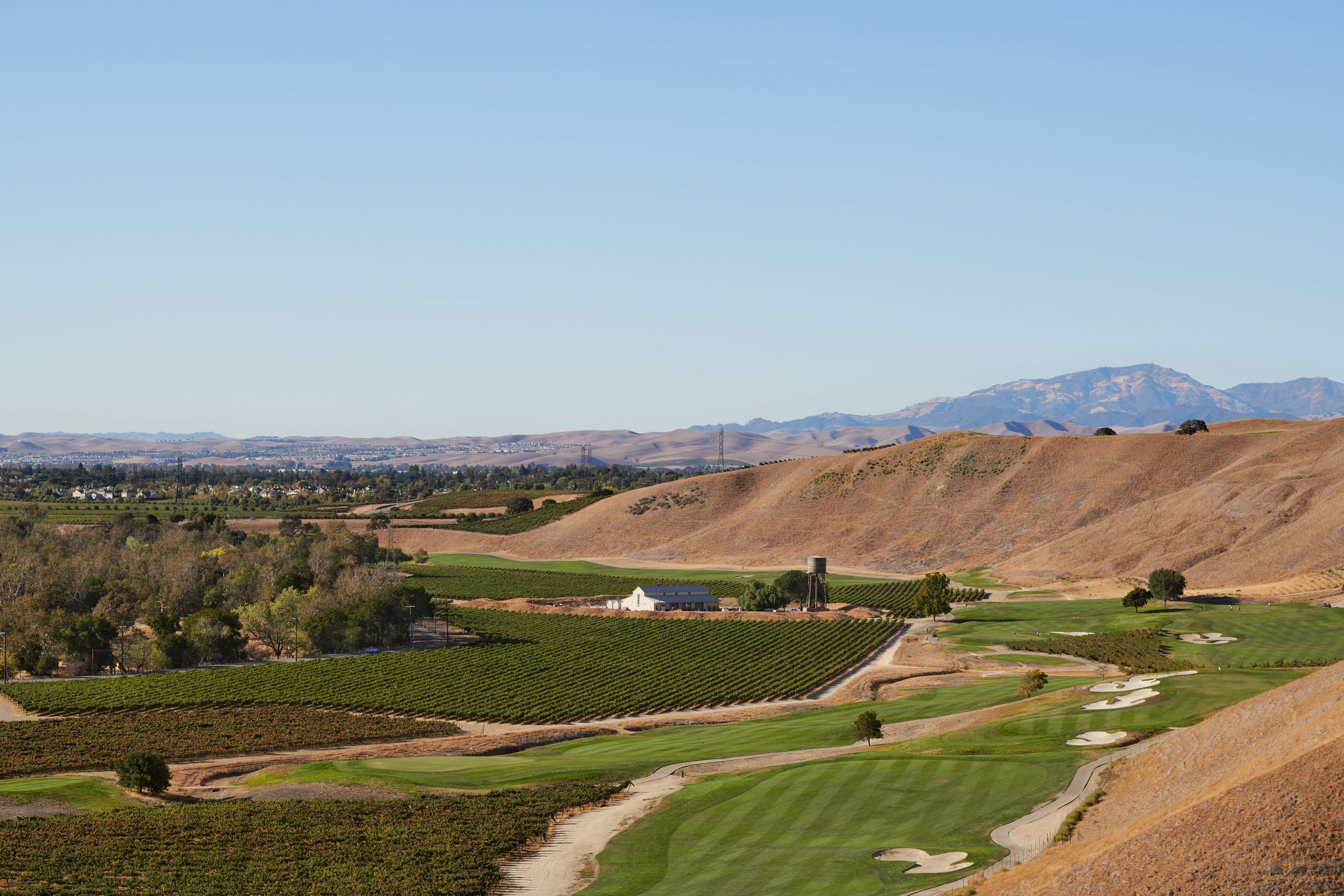 The Course at Wente Vineyards