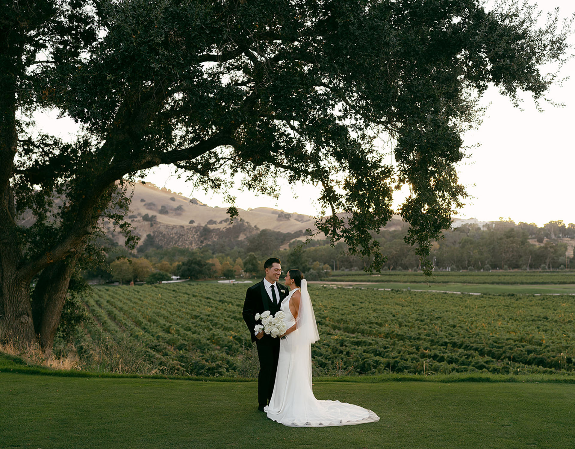 Wedding in the vineyard
