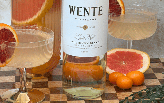 https://wentevineyards.com/wp-content/uploads/2024/06/wente-vineyards-citrus-white-wine-cocktail.png